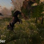 Second Life Avatars - Thunder the Black Stallion